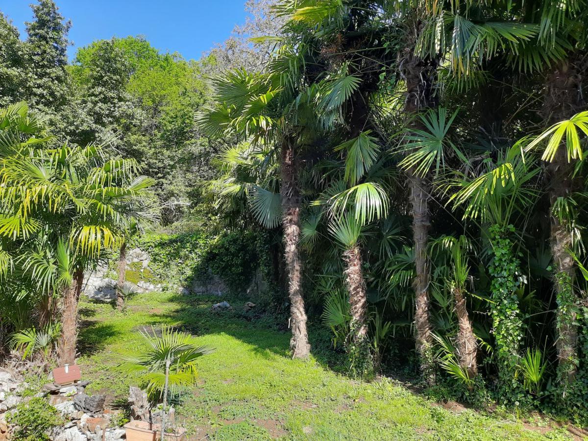 Apartment Anagora I